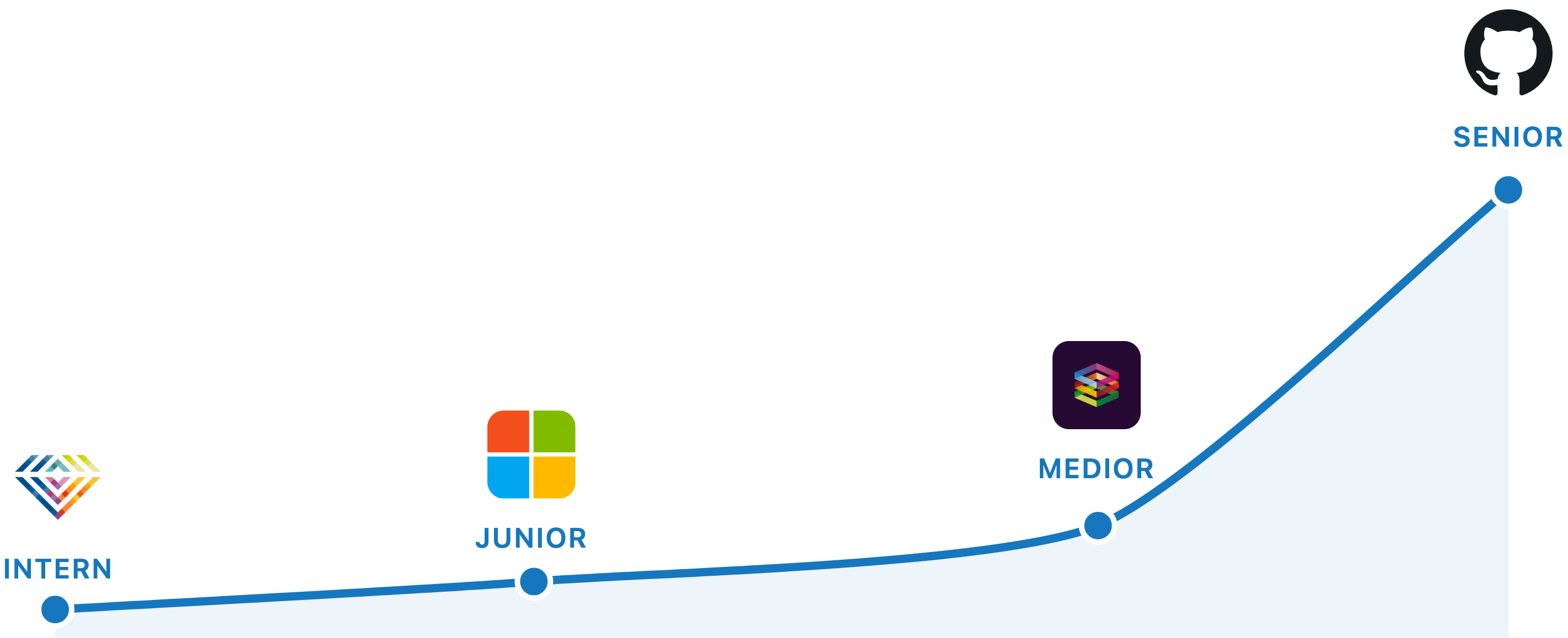 Career progression from Intern to Senior Engineer